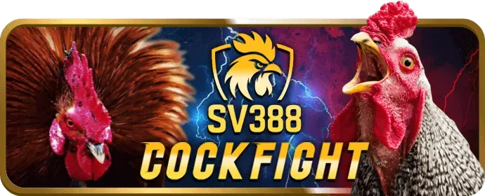 Phỏm